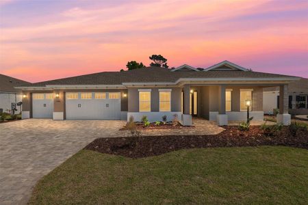 New construction Single-Family house 10815 Sw 96Th Ln, Ocala, FL 34481 - image