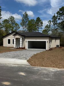 New construction Single-Family house 6991 Sw 151St Lp, Ocala, FL 34473 - image