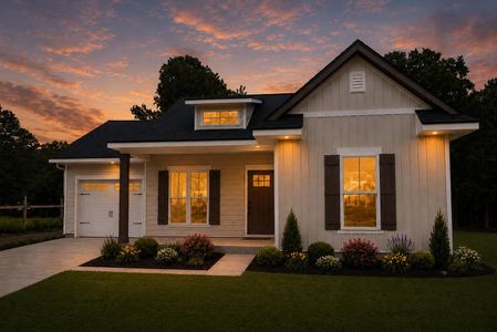 New construction Single-Family house 556 Pine St, Holly Hill, SC 29059 - image
