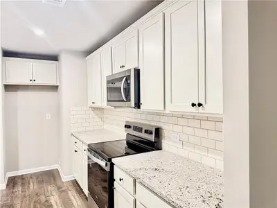 New construction Townhouse house 16 Silver Leaf Ln, Dawsonville, GA 30534 - image