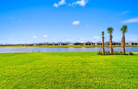 New construction Single-Family house 6257 Patriot Ln, Ave Maria, FL 34142 plan Stellar - image 17