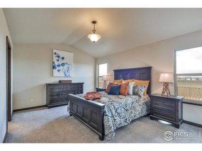 New construction Single-Family house 7124 Rye Grass Dr, Wellington, CO 80549 - image 3