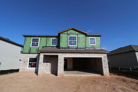 New construction Single-Family house 12294 Hilltop Farms Dr, Dade City, FL 33525 Malibu- photo 68 68