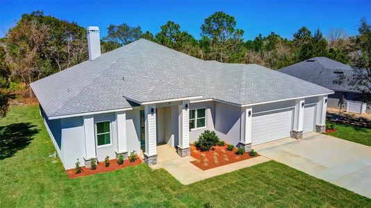 New construction Single-Family house 8 Hibiscus Ct, Homosassa, FL 34446 plan Windsor II - image