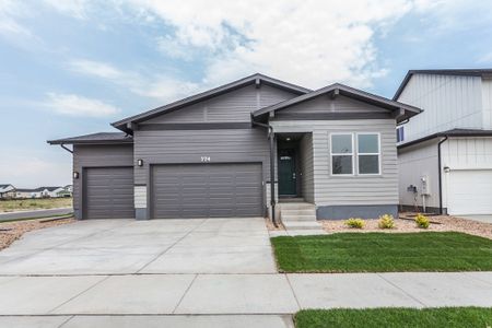 New construction Single-Family house 774 Trumpet Ct, Windsor, CO 80550 plan Christie - image