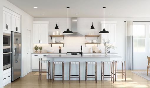 New construction Single-Family house 2074 Mcguire Ln, Hollywood, SC 29449 plan Macon II - image