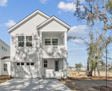 New construction Townhouse house 299 Claret Cup Way, Charleston, SC 29414 - photo 0