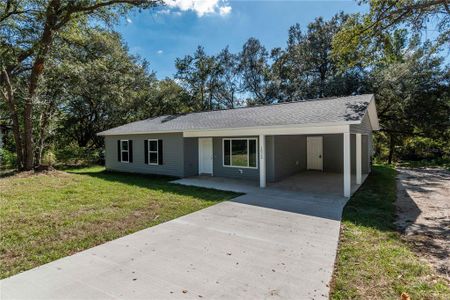 New construction Single-Family house 16615 Se 63Rd Ln, Ocklawaha, FL 32179 - image