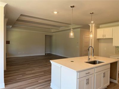 New construction Single-Family house 924 Winding Rose Dr, Hoschton, GA 30548 Noah- photo 16 16
