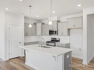 New construction Single-Family house 62 Charred Oak Ct, Lillington, NC 27546 plan The Daphne C - image