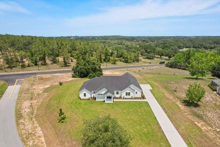 New construction Single-Family house 12565 Cynthia Ln, Clermont, FL 34715 null- photo 33 33