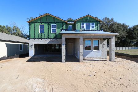 New construction Single-Family house 11984 Hilltop Farms Dr, Dade City, FL 33525 Casanova- photo 19 19