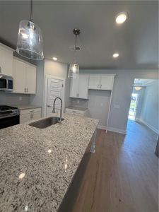 New construction Single-Family house 609 Villa Rica Spgs, Villa Rica, GA 30180 plan Kathleen - image 5