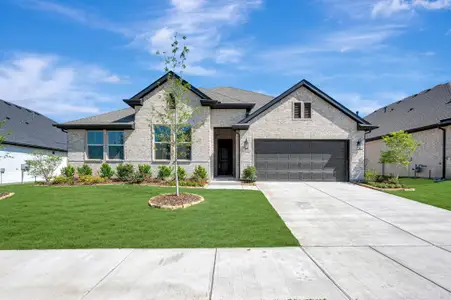 New construction Single-Family house 1259 Umber Willow Dr, Lavon, TX 75166 plan Frankfurt - image