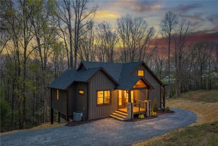 New construction Single-Family house 1038 Bluebird Rd, Mineral Bluff, GA 30559 - image