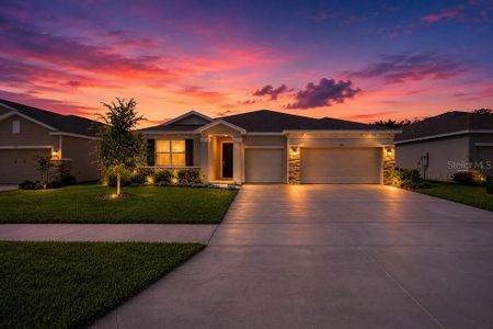 New construction Single-Family house 3115 Canopy Oak Blvd, Wildwood, FL 34785 - image