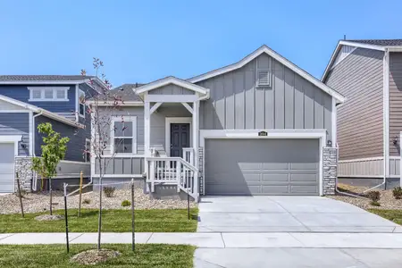 New construction Single-Family house 1694 Drumming Dr, Windsor, CO 80550 plan Daisy - image