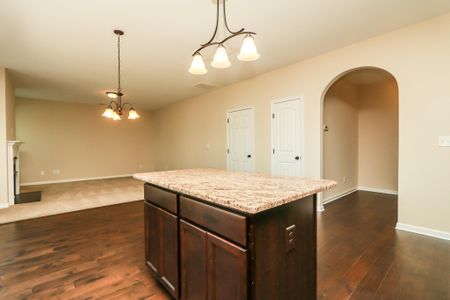 New construction Single-Family house 15 Shenandoah Court, Clayton, NC 27520 - photo 13 13