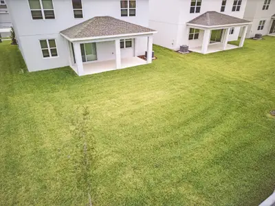 New construction Single-Family house 2567 Cavanaugh Dr, Orlando, FL 32817 plan Newcastle - image