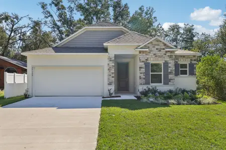New construction Single-Family house 2119 Ne Juanita Pl, Cape Coral, FL 33909 plan Drexel - image