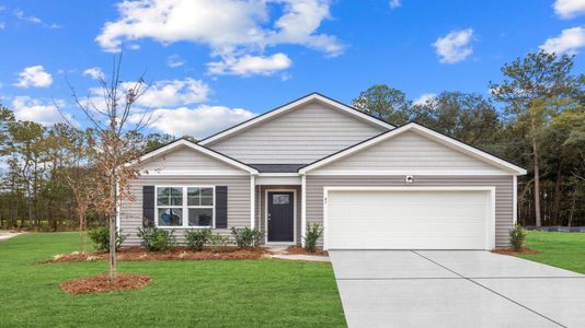 New construction Single-Family house 41 Bottom Board Ct, Ridgeland, SC 29936 plan Cali - image