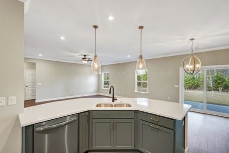 New construction Single-Family house 51 Hanover Pl, Richmond Hill, GA 31324 plan Hilton - image 14