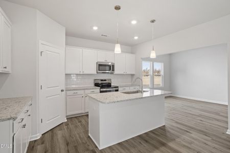 New construction Single-Family house 174 Harriette Ct, Lillington, NC 27546 plan Telfair - image 12