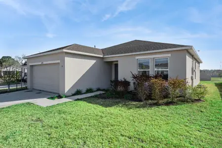 New construction Single-Family house 33813 Sky Blossom Cir, Leesburg, FL 34788 plan Ambrosia - image