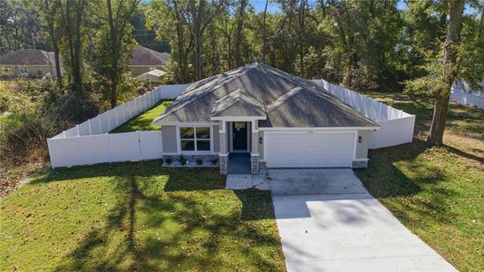 New construction Single-Family house 3696 Se 139Th Ln, Summerfield, FL 34491 - image