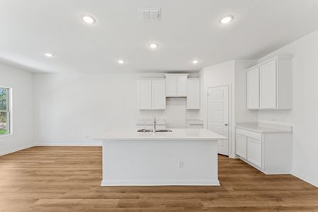 New construction Single-Family house 16243 Sage Cmn, Elmendorf, TX 78112 plan Magellan - image 5
