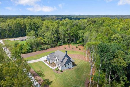 New construction Single-Family house 422 Old Orange Mill Rd, Canton, GA 30115 - image