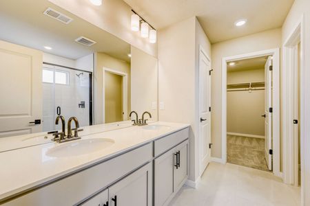 New construction Single-Family house 13791 Daffodil Wy, Parker, CO 80134 plan Braeburn - image 9