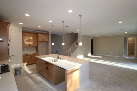 New construction Single-Family house 20125 Oriana Loop, Land O' Lakes, FL 34638 Santina II- photo 137 137