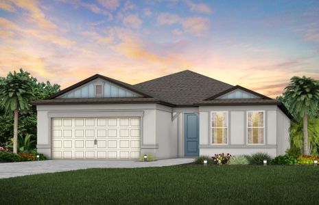 New construction Single-Family house 783 Little Cloud Place, Valrico, FL 33594 - photo 0