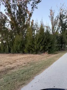 New construction Single-Family house 3915 Magnolia Wy, Punta Gorda, FL 33950 - image