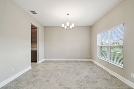 New construction Single-Family house 2926 Ivory Bluff Ct, Zephyrhills, FL 33540 plan Alenza - image 8