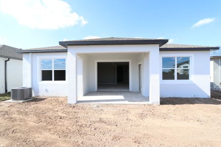 New construction Single-Family house 3150 Adams Cross Dr, Zephyrhills, FL 33540 Miranda- photo 79 79