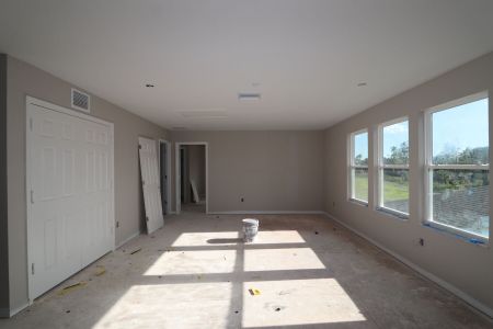 New construction Single-Family house 4774 Beachrose Way, Lakeland, FL 33811 Barcello Bonus- photo 41 41