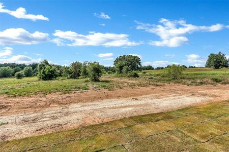 New construction Single-Family house 121 Dubois, Poolville, TX 76487 null- photo 27 27