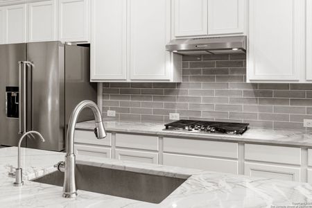 New construction Single-Family house 221 Vamanos, Boerne, TX 78006 plan Brandon - image 20