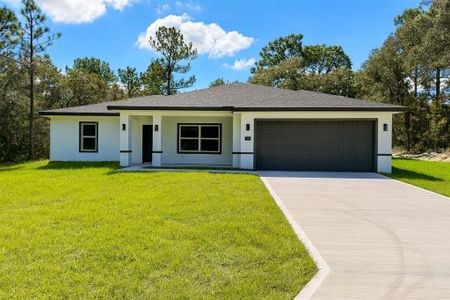 New construction Single-Family house 2132 W Paragon Ln, Citrus Springs, FL 34434 - image