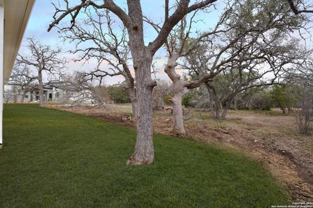 New construction Single-Family house 34816 Thanksgiving Trl, Bulverde, TX 78163 - photo 28 28