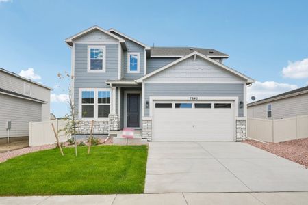 New construction Single-Family house 7842 Buffalo Horn Dr, Colorado Springs, CO 80925 plan Boxelder - image