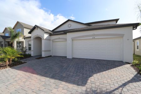 New construction Single-Family house 4774 Beachrose Way, Lakeland, FL 33811 Barcello Bonus- photo 100 100