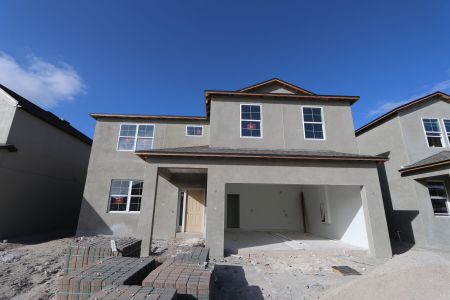 New construction Single-Family house 4877 Foxglove Cir, Lakeland, FL 33811 Alenza- photo 72 72