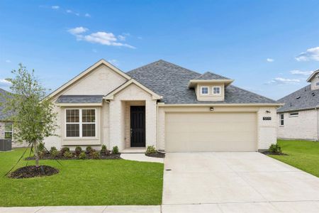 New construction Single-Family house 3203 Giovanni Pt, Princeton, TX 75407 - image