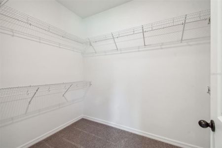 New construction Single-Family house 19591 Fort King Run, Brooksville, FL 34601 plan Elmwood - image 14