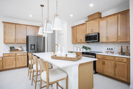 New construction Single-Family house 7078 Sun Hammock Trl, Groveland, FL 34736 plan Sabal - image 14