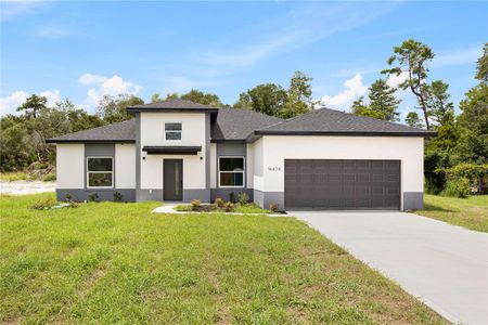 New construction Single-Family house 2823 Sw 161St Lp, Ocala, FL 34473 - image