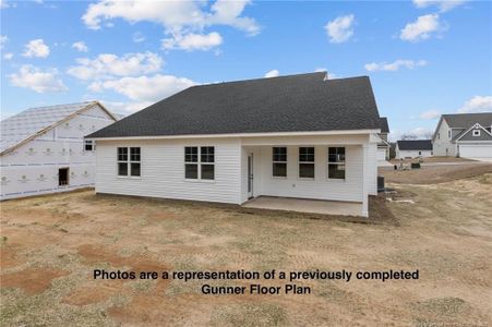 New construction Single-Family house 3527 Philippi Church Rd, Raeford, NC 28376 - image